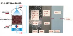 生物塔处理废气的机理